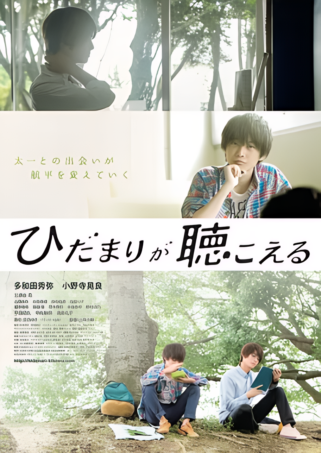 向阳之处必有声